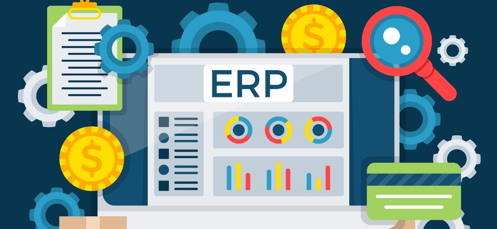 ERP Development and Integration